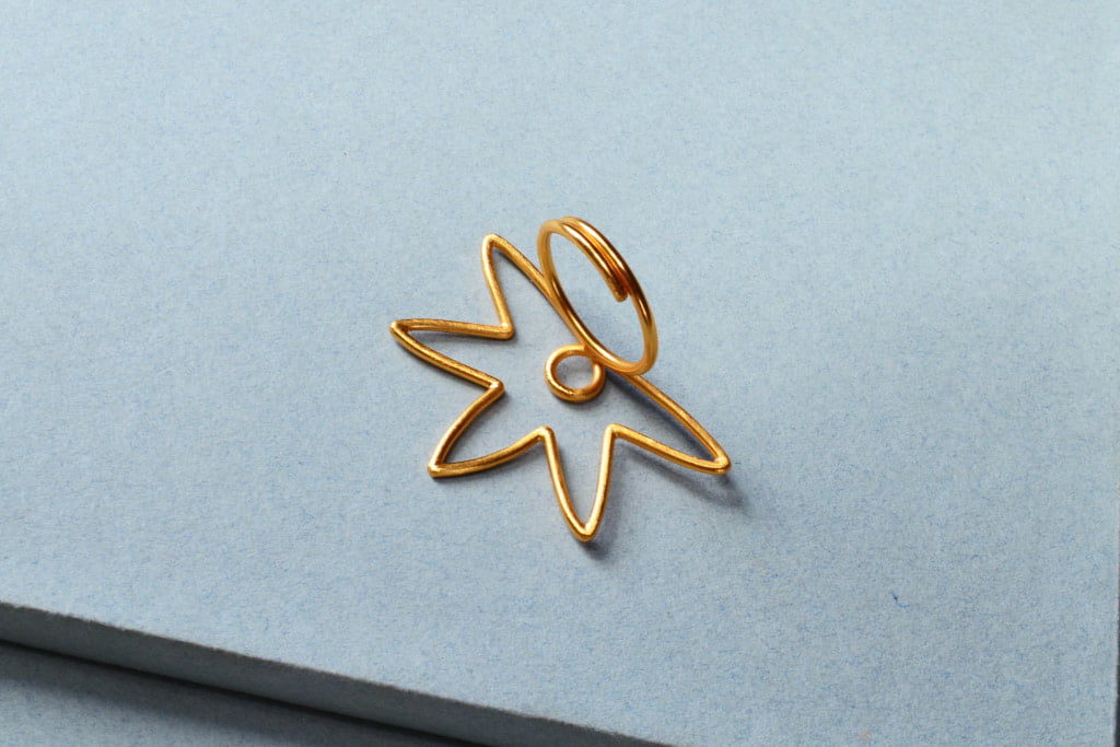 Anillo Aadapi - Bejuco