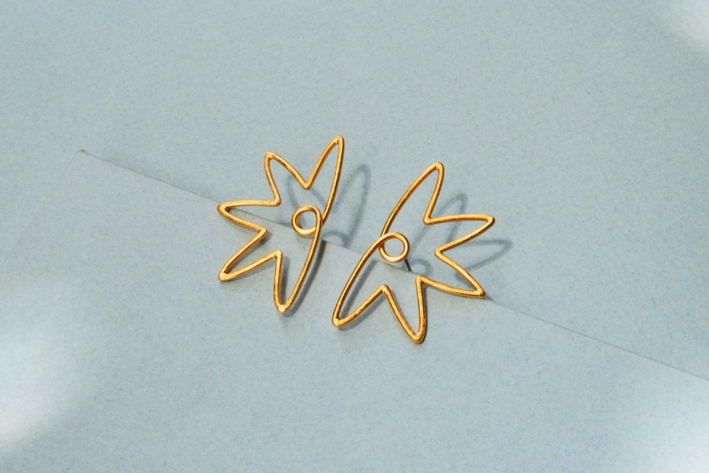 Aretes Aadapi - Bejuco