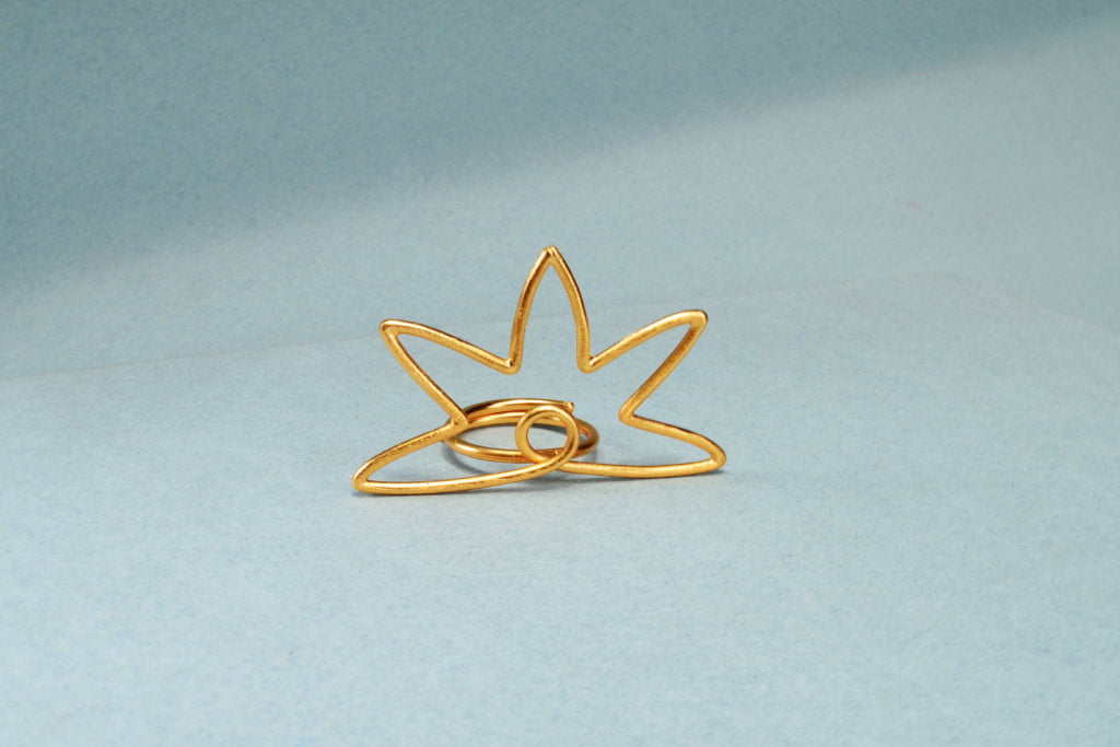 Anillo Aadapi - Bejuco
