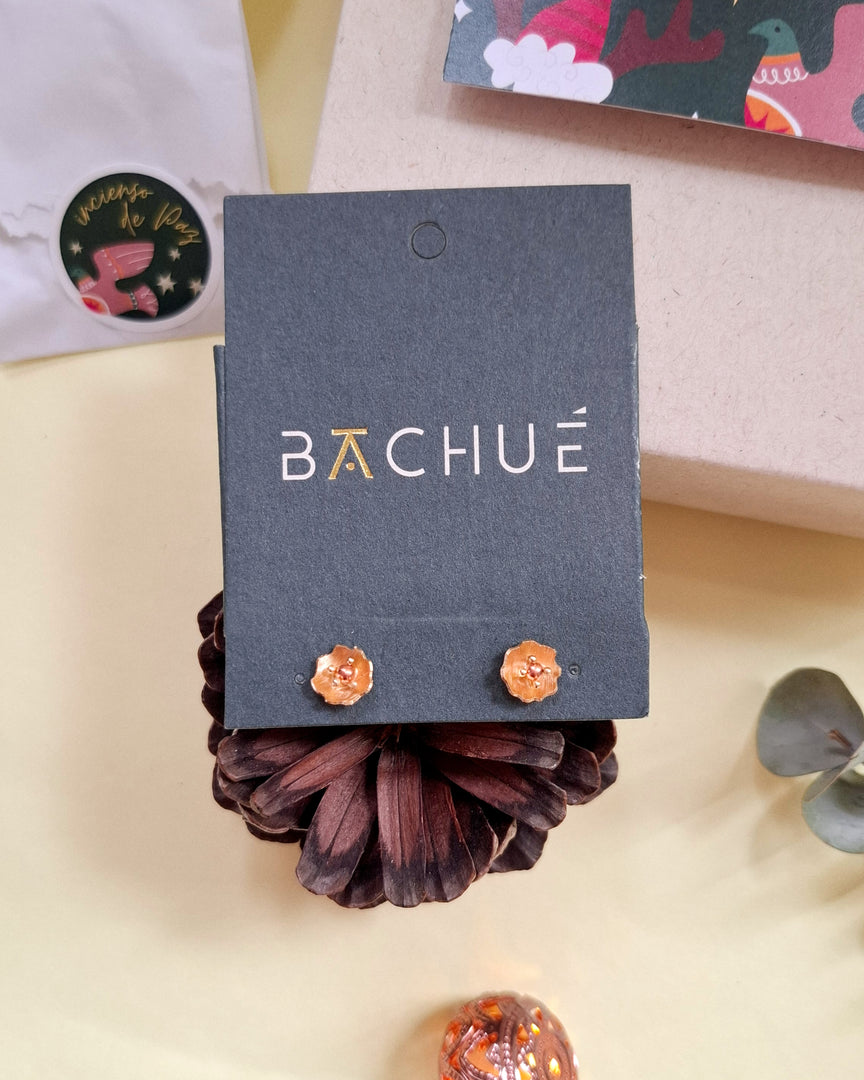 Kit Navidad 2025 - 2026