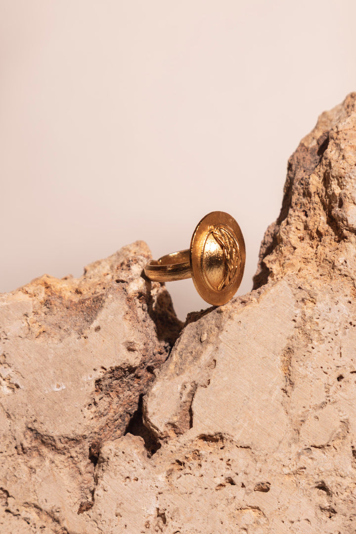 Anillo Jiípii/Tierra