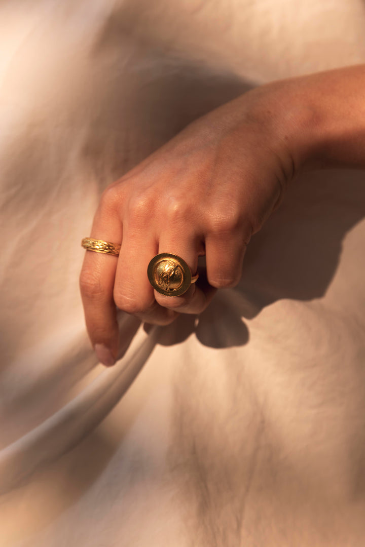 Anillo Jiípii/Tierra